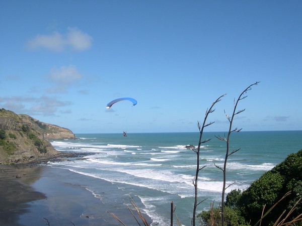 Paragliders at Muriwai Beach, west Auckland
